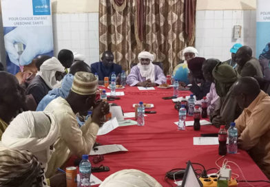 SANTE : L&rsquo;UNICEF au devant de la lutte contre le paludisme dans la région d’Agadez
