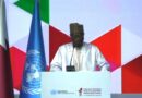 NATION : Le Niger porte sa voix à la COSP11 à Doha NATION : Le Niger porte sa voix à la COSP11 à Doha