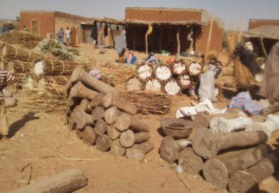 SOCIETE : Exploitation artisanale du natron dans le Dallol Bosso (Dosso), une activité rentable pour la femme rurale,