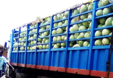 MARCHÉ : Les prix des fruits sur les marchés de Niamey en semaine 20 Mai 2022 MARCHÉ : Les prix des fruits sur les marchés de Niamey en semaine 20 Mai 2022