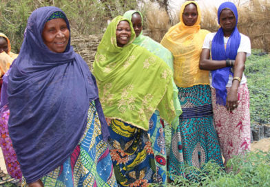 RAPPORT : Amélioration de l&rsquo;offre de services des OSC en 2018 au Niger avec une note de 4,3