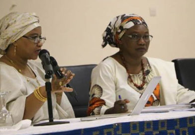 RAPPORT : Un progrès de l’image publique des OSC du Niger en 2018