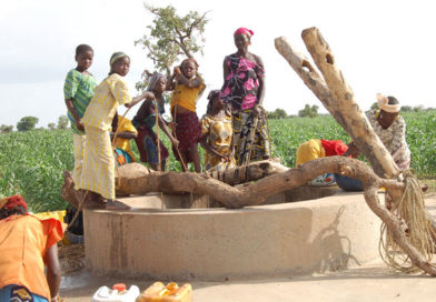 Vers la mise en œuvre concrète du PANGIRE au Niger :