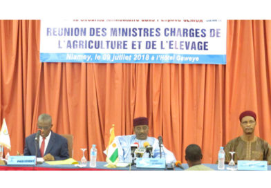 La persistance des menaces de famine dans le Sahel