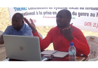 NIGER : Des résultats accablants sur la prise en compte du Genre au budget de l’État