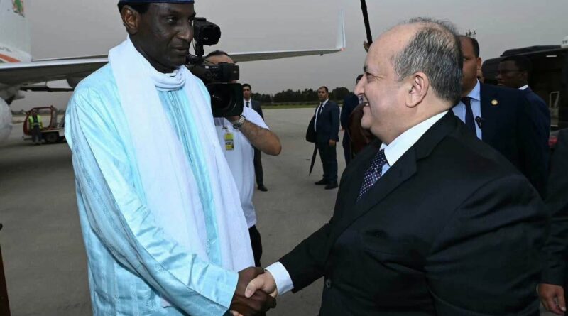 ALGÉRIE : LE PREMIER MINISTRE ALI MAHAMAN LAMINE ZEINE EN VISITE DE TRAVAIL À ALGER