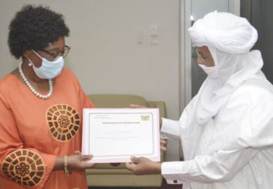 UNICEF : Dr. Félicité Tchibindat arrivée au terme de sa mission au Niger