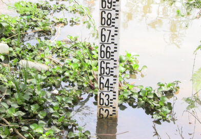 ALERTE : Évolution du niveau du fleuve Niger à Niamey, perspectives sur les risques d’inondation ALERTE : Évolution du niveau du fleuve Niger à Niamey, perspectives sur les risques d’inondation