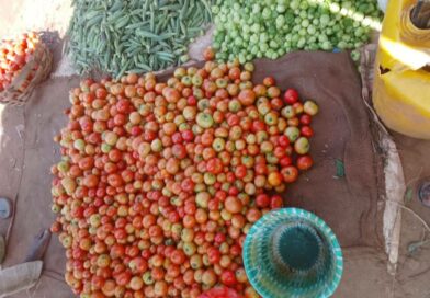 SOCIÉTÉ : Les produits maraichers et les fruits de saison sur les marchés de Niamey (11-09-2025). SOCIÉTÉ : Les produits maraichers et les fruits de saison sur les marchés de Niamey (11-09-2025).