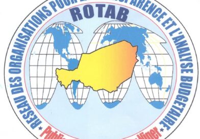 ANNONCES : Recrutement d’un (e) Consultant (e) en matière de Genre (Termes de Référence)