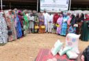 PNUD-Niger: Plus de 9 300 sacs de riz remis à des femmes entrepreneures pour renforcer leurs activités économiques PNUD-Niger: Plus de 9 300 sacs de riz remis à des femmes entrepreneures pour renforcer leurs activités économiques