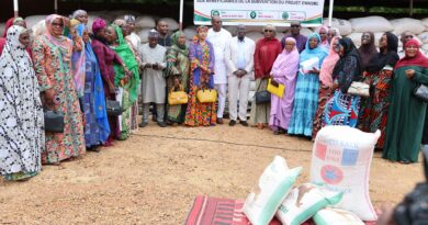 PNUD-Niger: Plus de 9 300 sacs de riz remis à des femmes entrepreneures pour renforcer leurs activités économiques PNUD-Niger: Plus de 9 300 sacs de riz remis à des femmes entrepreneures pour renforcer leurs activités économiques